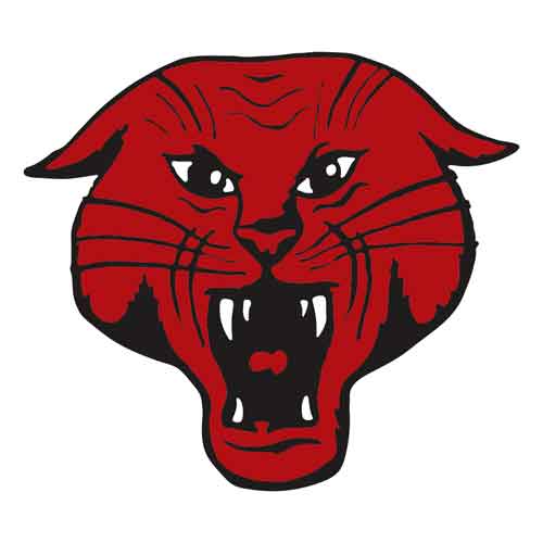 Ellsworth Logo