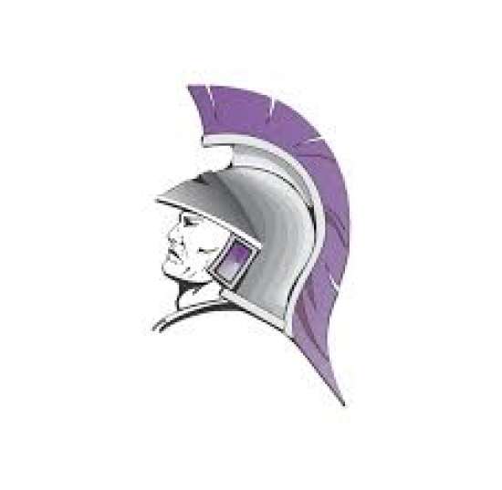 Southeast of Saline Logo