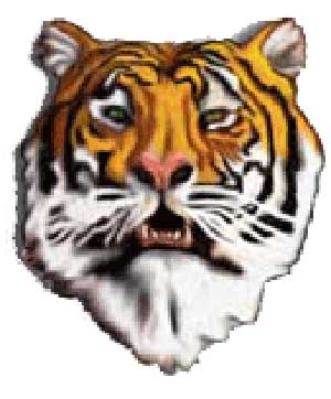 Pawnee Heights Logo