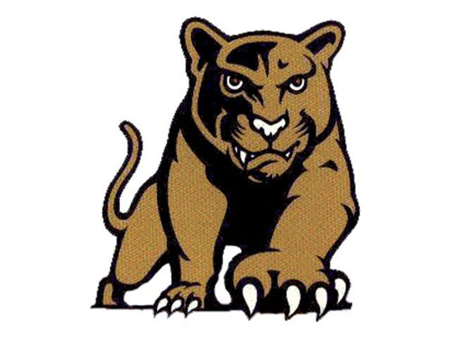 Salina South Logo